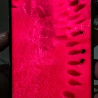 سامسونگ گلکسی نوت ۹
