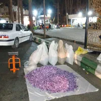 زعفران تازه عیار بالا|خوردنی و آشامیدنی|سبزوار, فیاض|دیوار