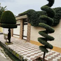 سوئیت-حیاط-دار-با-امکانات-رفاهی