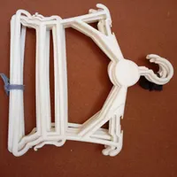 رگال وچوب رختی