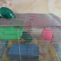 قفس تمیز پرنده و همستر|لوازم جانبی حیوانات|شیراز, قلعه نو|دیوار
