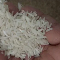 فجر سوزنی ۹۰ روزه امساله ۲۲۵ پارساله ۱۹۵