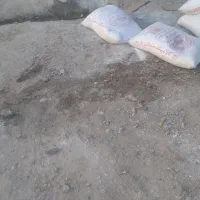 کارگرساده کنتراتی حمل مصالح ازپله ماسه گچ هستم|خدمات پیشه و مهارت|زاهدان, |دیوار