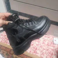 کفش|کیف، کفش، کمربند|شیراز, قلات|دیوار