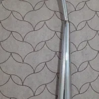 اگزوزمجید مدنی شده