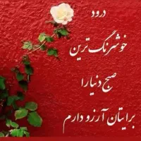 پرستار خانم