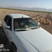 تاکسی تلفنی با مجوز رسمی از شهرداری نجف آباد|خدمات حمل و نقل|نجف‌آباد, شهرک صنعتی نجف آباد|دیوار