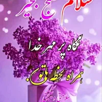 مدارک گمشده