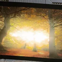 تابلو عکس منظره