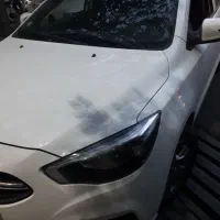 شاهین دنده ای