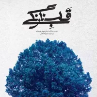 بلیط تئاتر قلب نارنگی سه شنبه تاریخ ۰۵/۲۸
