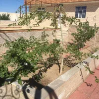 ویلای کلید نخورده|فروش خانه و ویلا|تهران, ارم|دیوار