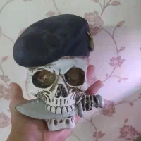 ماهی سیچلارد و بچه گوپی و اکواریوم|ماهی|اردبیل, |دیوار