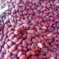 فروش 120کیلو لوبیا قرمز درجه یک