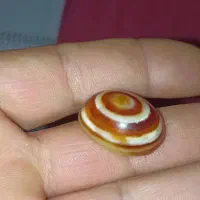 مهره|جواهرات|دزفول, |دیوار