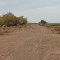 زمین کشاورزی با سهمیه آب موتور|فروش زمین و ملک کلنگی|زاویه, |دیوار