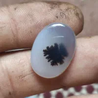 فروش انواع نگین سنگ طبیعی شجر