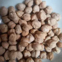 نخود مرغوب کرمانشاه