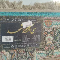 دوعدد قالی دستباف ماشینی|فرش|شیراز, شاپورجان|دیوار
