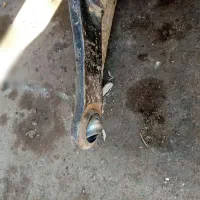 تراکتور 399 موتور پلمپ|خودرو سنگین|قیدار, |دیوار