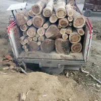 خرید چوب|خدمات باغبانی و درختکاری|سنندج, |دیوار