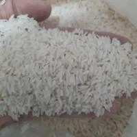 برنج هاشمی آستانه
