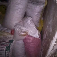 نان خشک تمیز تمیز همه تافتون