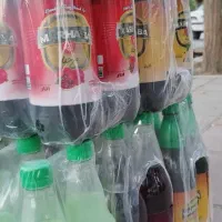 پخش دلستر  تک و عمده