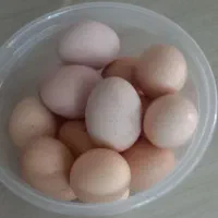 تخم مرغ محلی