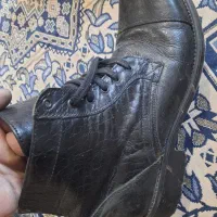 کفش پوتین چرم خالص|کیف، کفش، کمربند|کلاله, |دیوار