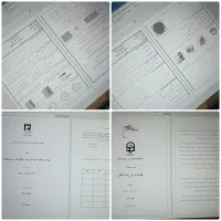 تایپ صفحه ۱۰ تومن|خدمات رایانه‌ای و موبایل|زاهدان, |دیوار