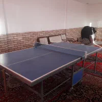 میز تنیس ام دی اف ( پینگ پونگ )