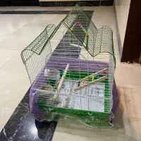 قفس پرنده