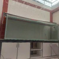 آکواریوم بزرگ ماهی مخصوص فروشگاه مرغ و ماهی زنده