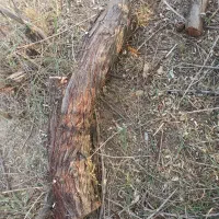 اره شارژی|ابزارآلات|خدا آفرین, |دیوار