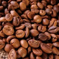 قهوه روبوستا فول کافئین
