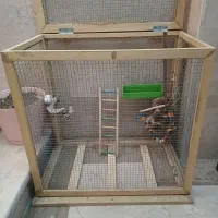 قفسه پرنده دست ساز