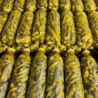 فروش خیارشور|عمده‌فروشی|اسالم, |دیوار