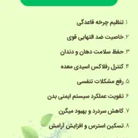 عرق نعنا