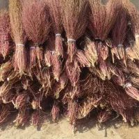 جارو رسیده
