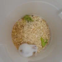 همستر واگذاری