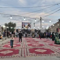 پروژکتر ریسه باند فلش خور