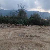 فروش زمین مسکونی|فروش زمین و ملک کلنگی|لاهیجان, لیالستان|دیوار