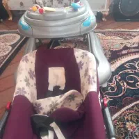 روروئک  و کریر سالم