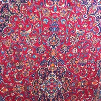 یک جفت اردکان ۱۰ متری دست بافت