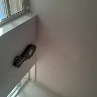 اجاره-یک-باب-منزل-مسکونی-همراه-با-گله-دانی