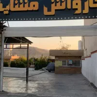 نیروی کارواش