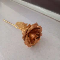 گل رز اب طلا