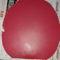 رویه راکت ژیوم و تینرژی|تجهیزات ورزشی|فولادشهر, B4|دیوار