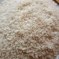 برنج هاشمی درجه 1 تضمینی|خوردنی و آشامیدنی|اشتهارد, |دیوار